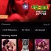 OTT Subscription Super Combo - ১৫টি প্ল্যাটফর্ম দেখুন [মোবাইল/স্মার্টটিভি] - Image 29